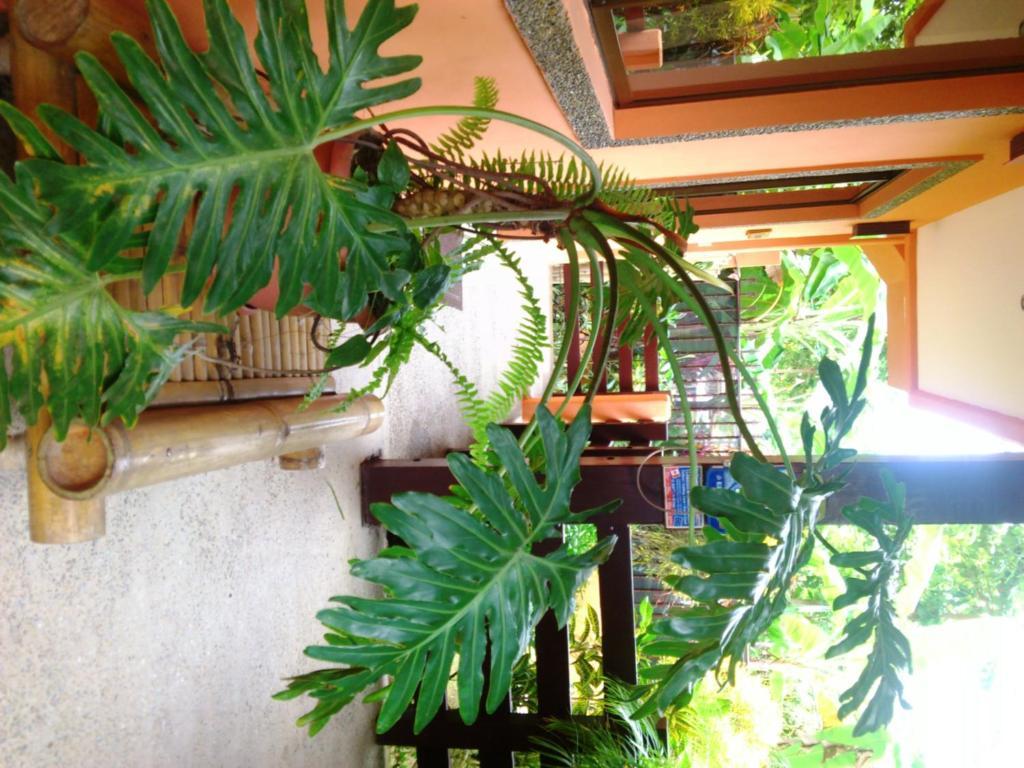 Inn On The Park Manuel Antonio Luaran gambar